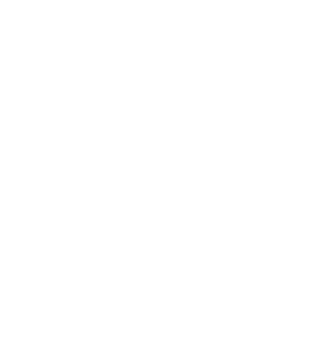 Roy Freyre