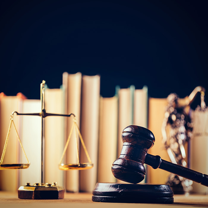 Derecho Penal y Derecho Penal Económico